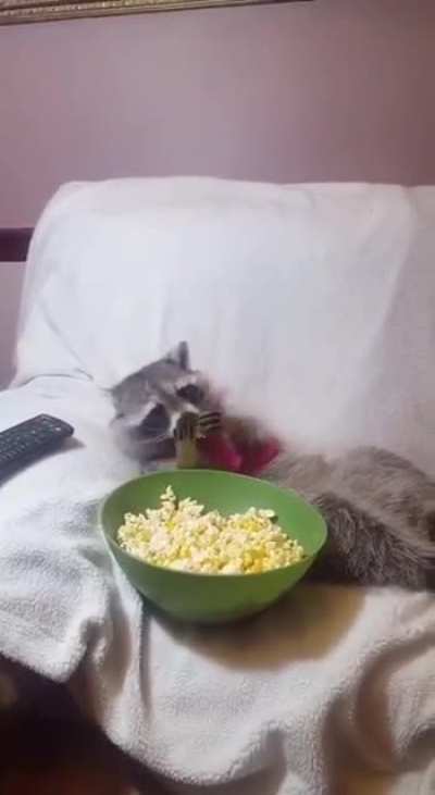 This guy knows how to chill