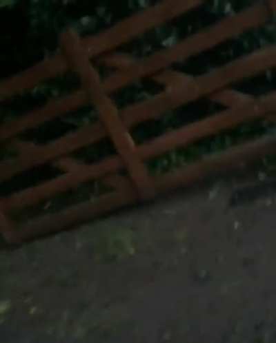 unusual fall