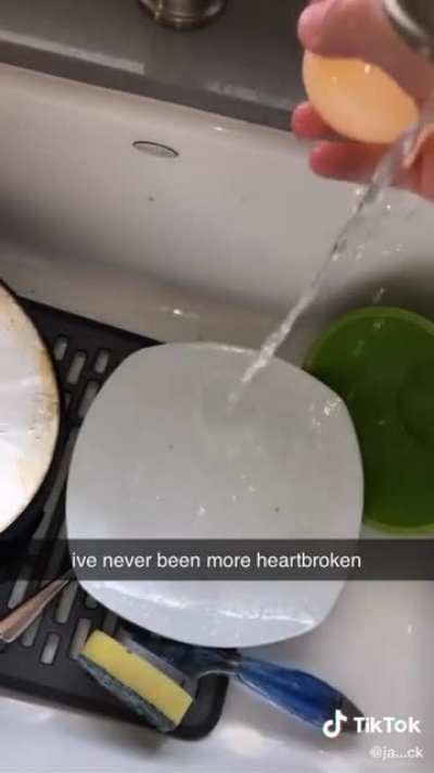 egg.
