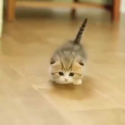 Wobble wobble wobble