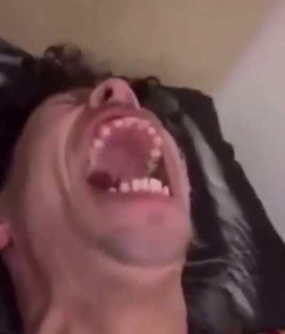 Bollaxshitnfuck