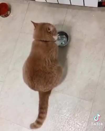 This bowl isn’t gonna fill itself