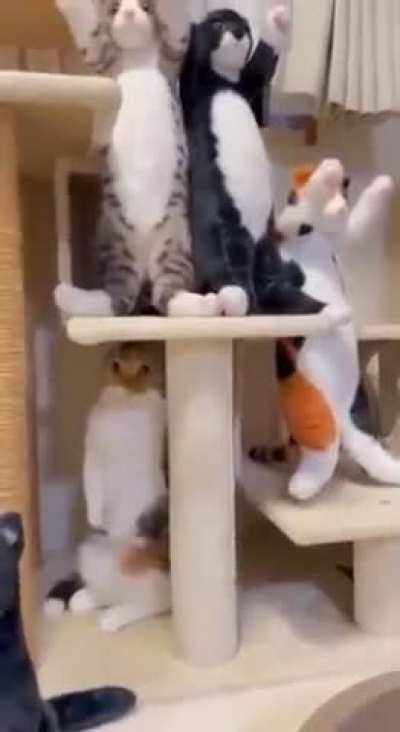 Imposter.