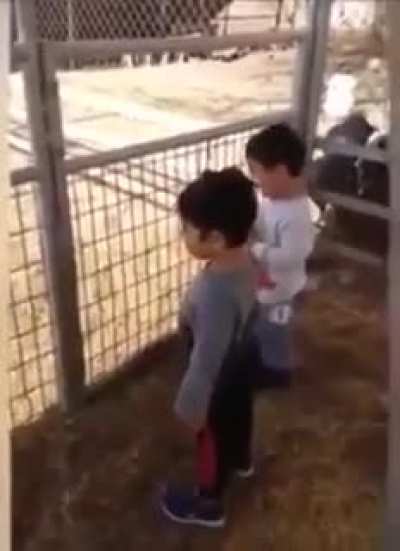 Vaya que eres tonto polla chaval