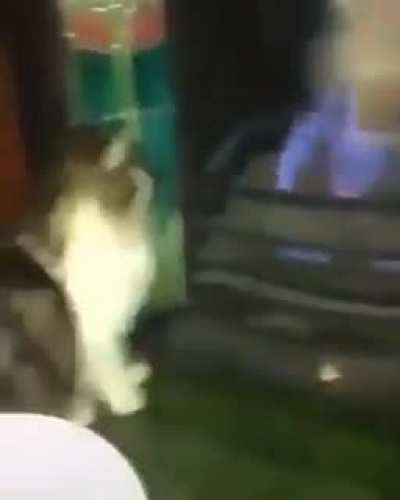TOM!