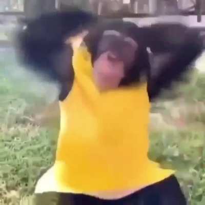 Monkey