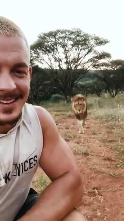 Vicious lion attack