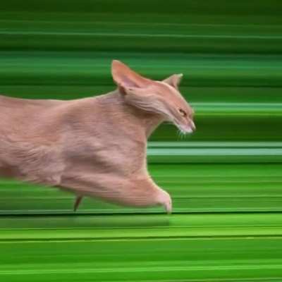 When the LSD kicks in