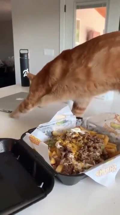 Picky Wunk