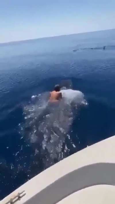 Surf 🏄‍♂️