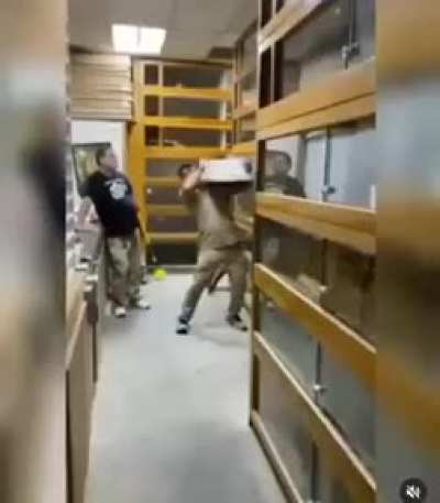 D: