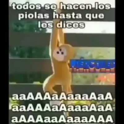 Créditos a @ayuda_xfavoor de instagram