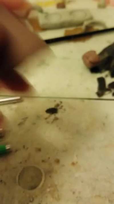 Does this count? Homemade Aztec Death Whistle (Not OC)