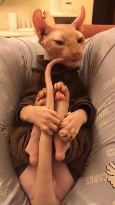 I’d surely chew on my tail if I had one