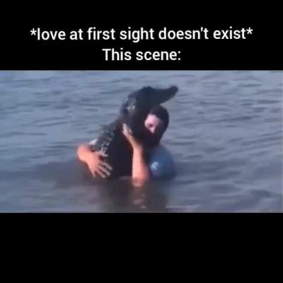 Love at first sight