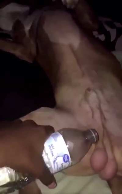 🐶