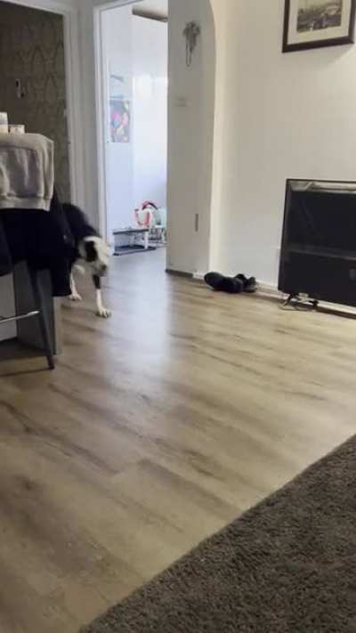 Ninja attack.