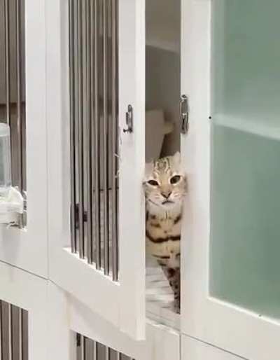 Побег