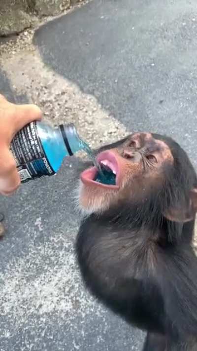 Just a sip