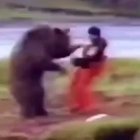 Urso lutador fodase