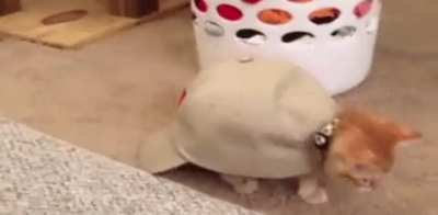 Cat in a Hat (phase 2)
