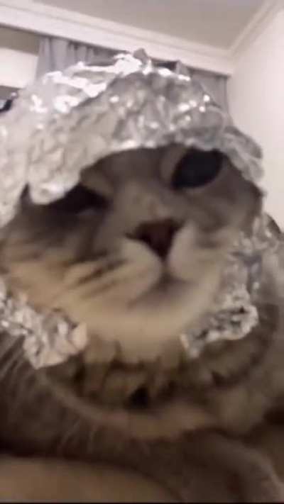Heh
