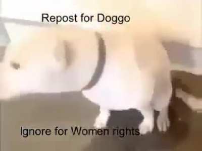 Yes