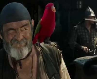 Best pirate I’ve ever seen.