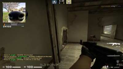 m0nesy peek