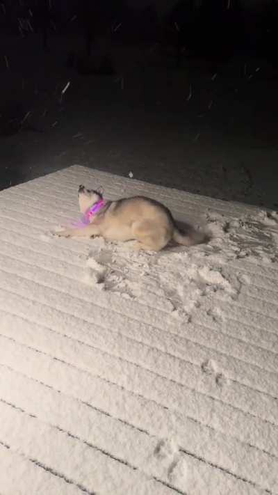 Someone’s happy about the first snowfall of the season