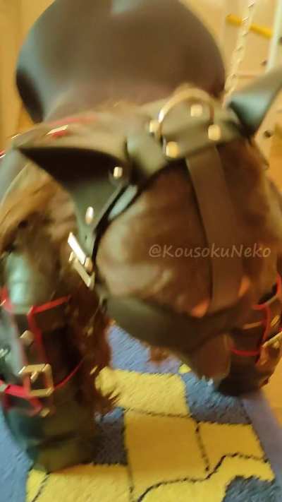 kouso<wbr>kunek<wbr>ochan testing her her boundaries