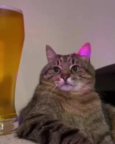 When you are over 30 and you decide to go to a club