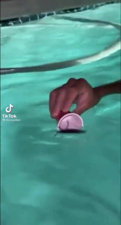 splash