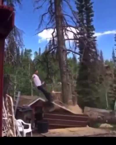 Just cutting a tree