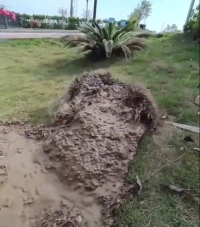Tremors