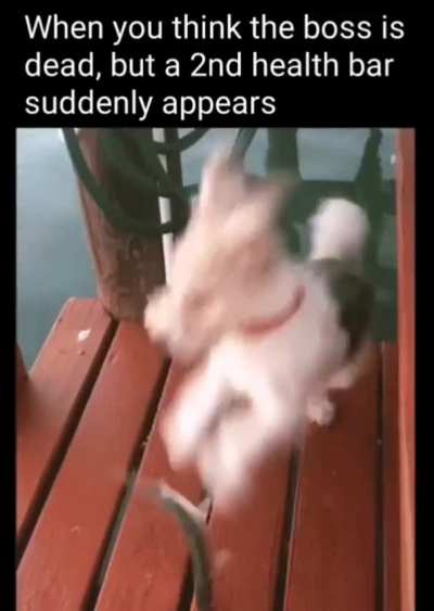 Oh fu*k