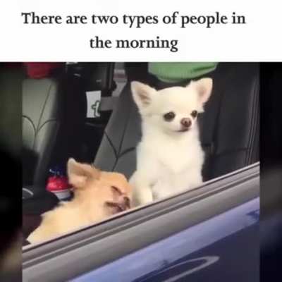 Day after day, Everyday.