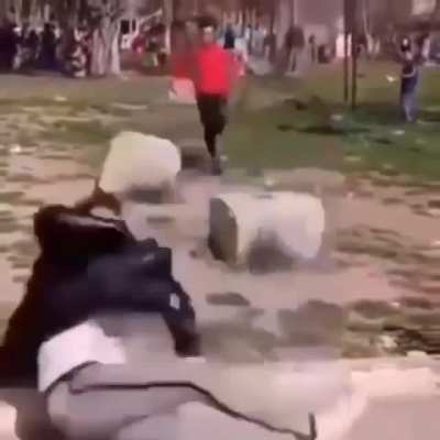 Bonk