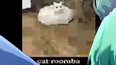 Cat Roomba