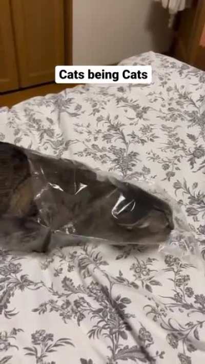 The cats out of the bag, no. No it's not..