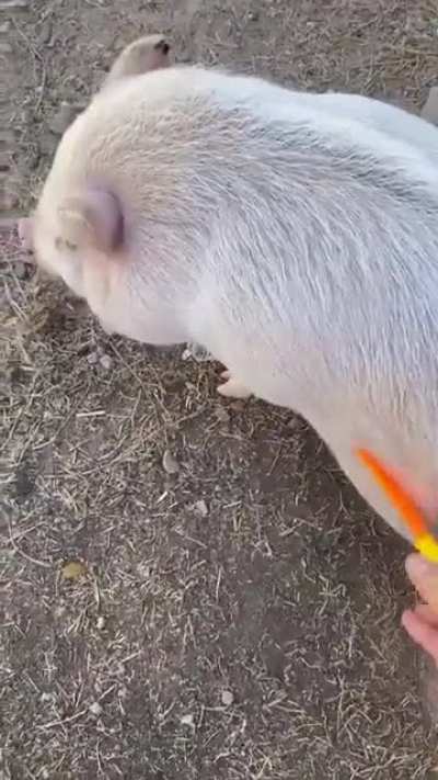 GORÉ