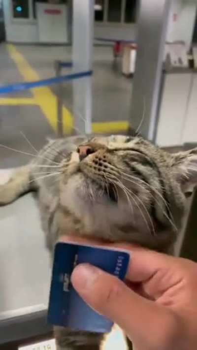 new technology