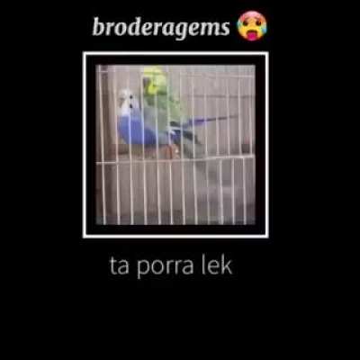 🤨😏🤭