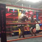 Brutal KO