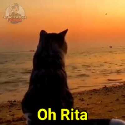 Oh Rita... 😔