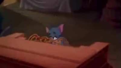The Cat of Kansai