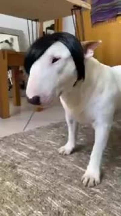 Ebo