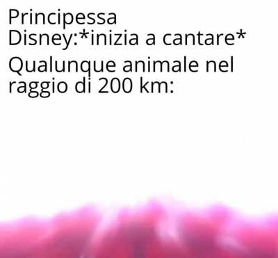 Lo metterò domani su Memesita
