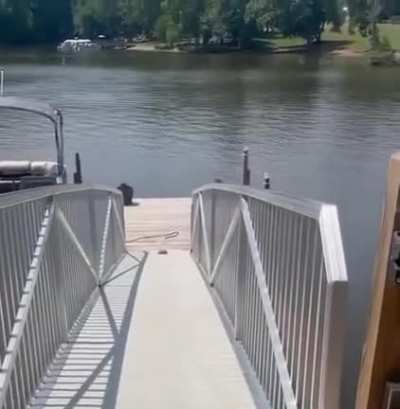 My aquatic people need me