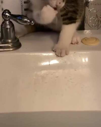 Slippery paws.